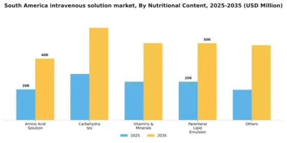 South America Intravenous Solution Market Segment Image 3