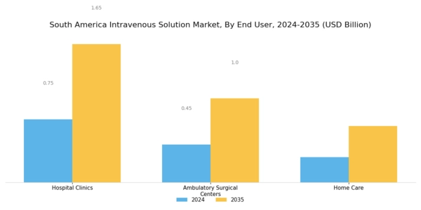 South America Intravenous Solution Market Segment Image 3