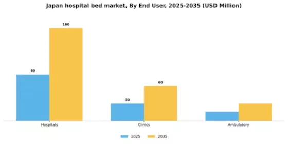 Japan Hospital Bed Market Segment Image 0