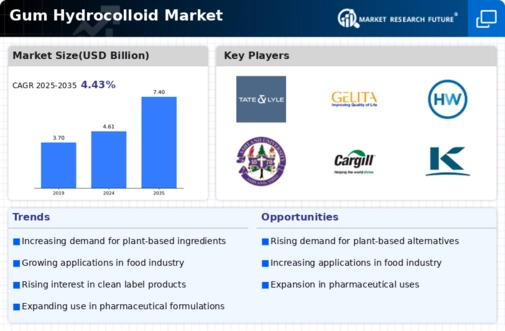 Gum Hydrocolloid Market Infographic