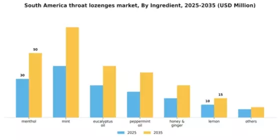 South America Throat Lozenges Market Segment Image 1