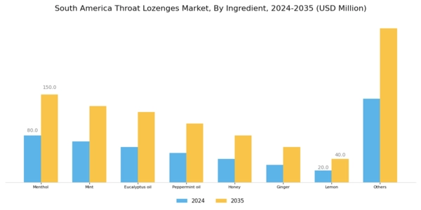 South America Throat Lozenges Market Segment Image 1