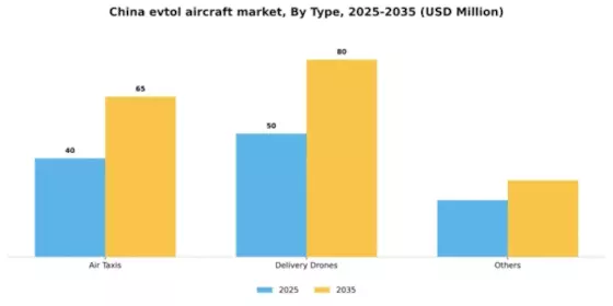 China Evtol Aircraft Market Segment Image 3