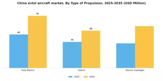 China Evtol Aircraft Market Segment Image 4