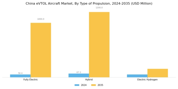 China Evtol Aircraft Market Segment Image 3