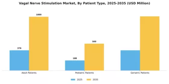 Vagal Nerve Stimulation Market Segment Image 3