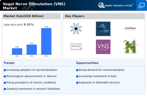 Vagal Nerve Stimulation Market Infographic