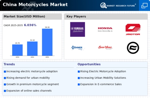 China Motorcycles Market Infographic