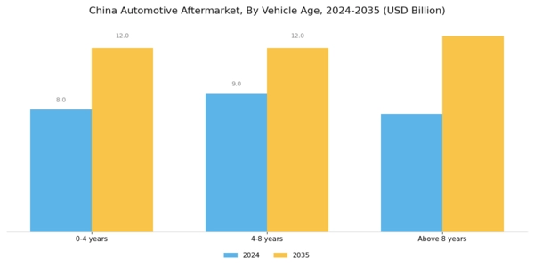 China Automotive Aftermarket Industry Segment Image 1