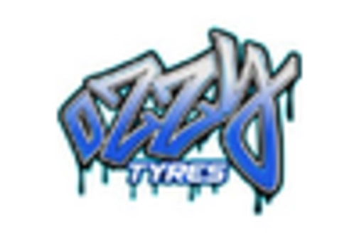 China Automotive Aftermarket Industry key player