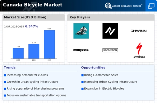 Canada Bicycle Market Infographic