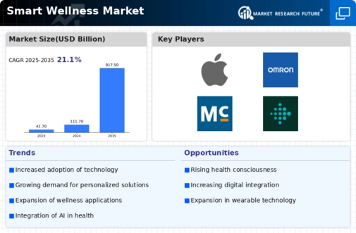 Smart Wellness Market Infographic