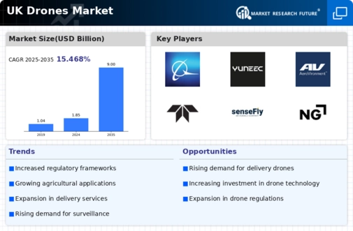 UK Drones Market Infographic