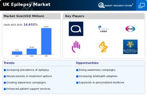 UK Epilepsy Market Infographic