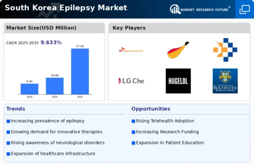 South Korea Epilepsy Market Infographic