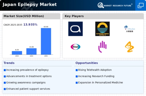 Japan Epilepsy Market Infographic