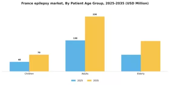 France Epilepsy Market Segment Image 1