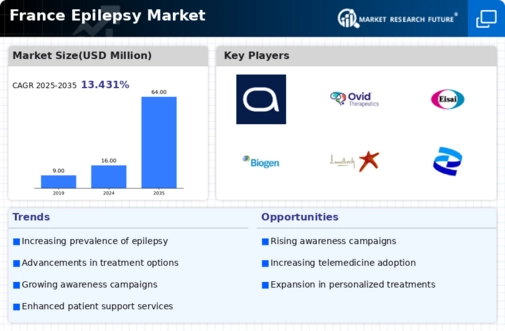 France Epilepsy Market Infographic