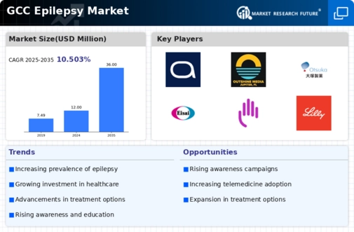 GCC Epilepsy Market Infographic