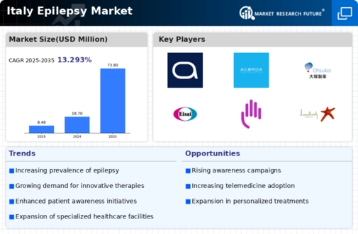 Italy Epilepsy Market Infographic