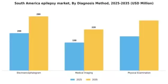 South America Epilepsy Market Segment Image 0