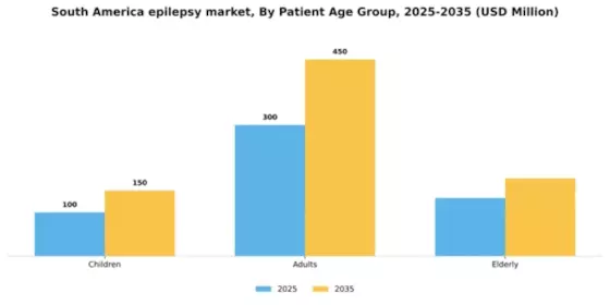 South America Epilepsy Market Segment Image 1