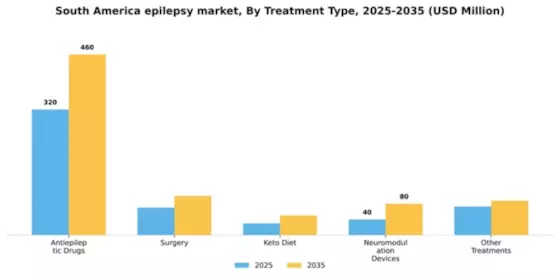 South America Epilepsy Market Segment Image 2