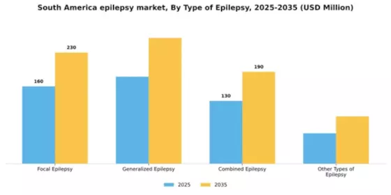 South America Epilepsy Market Segment Image 3