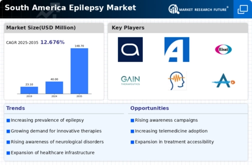 South America Epilepsy Market Infographic