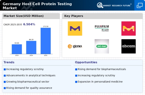 Germany Host Cell Protein Testing Market Infographic