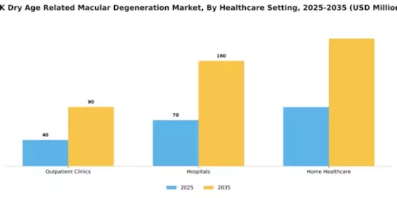 UK Dry Age Related Macular Degeneration Market  Segment Image 1