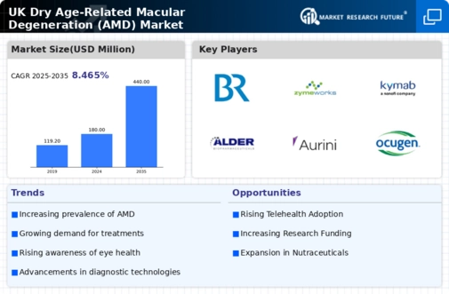 UK Dry Age Related Macular Degeneration Market  Infographic