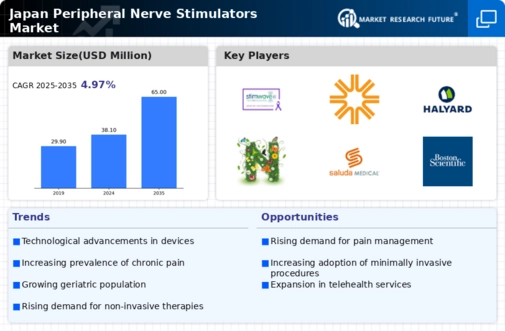 Japan Peripheral Nerve Stimulators Market Infographic