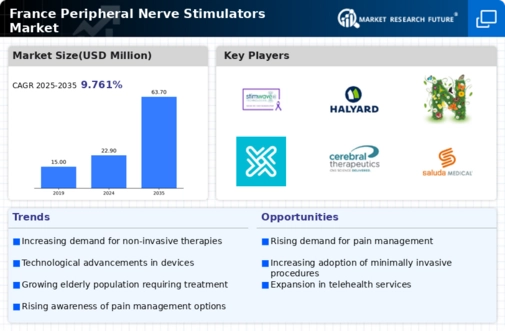 France Peripheral Nerve Stimulators Market Infographic