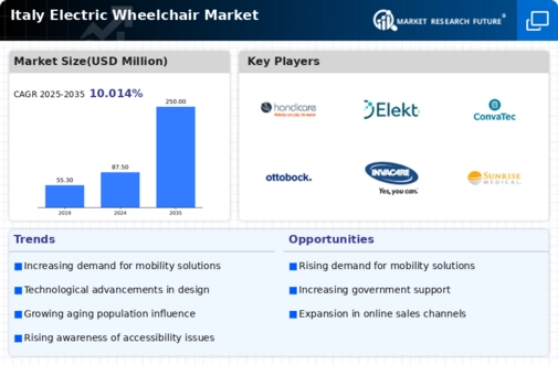 Italy Electric Wheelchair Market Infographic