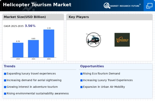 Helicopter Tourism Market Infographic