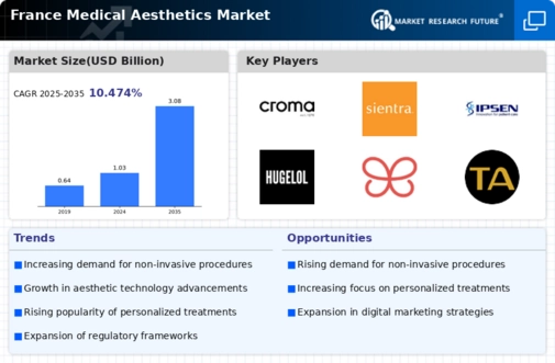France Medical Aesthetics Market Infographic