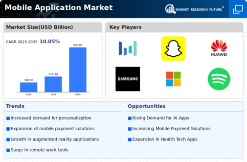 Mobile Application Market Infographic