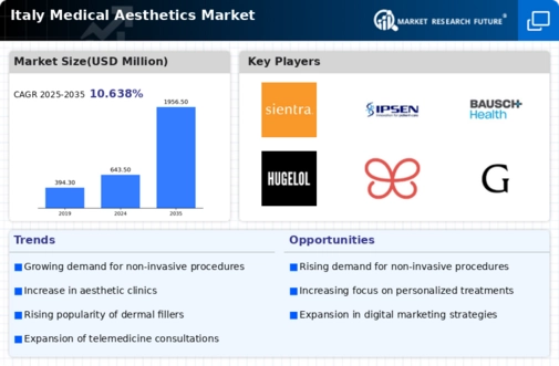 Italy Medical Aesthetics Market Infographic