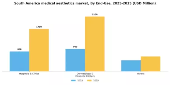 South America Medical Aesthetics Market Segment Image 0