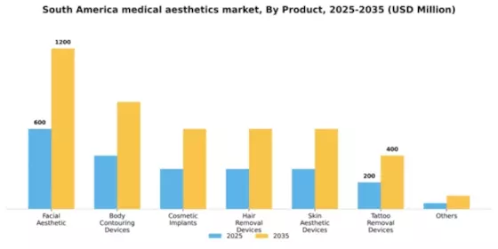 South America Medical Aesthetics Market Segment Image 1