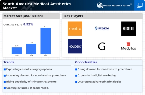 South America Medical Aesthetics Market Infographic