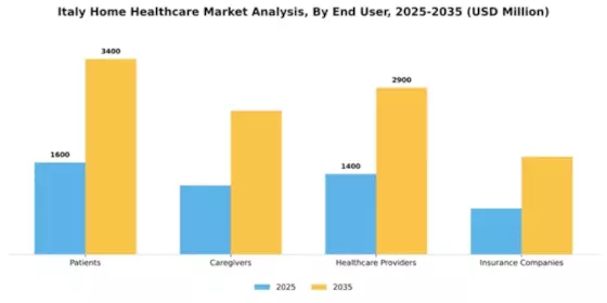 Italy Home Healthcare Market Segment Image 1