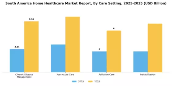 South America Home Healthcare Market Segment Image 0
