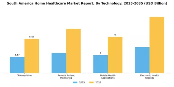 South America Home Healthcare Market Segment Image 2