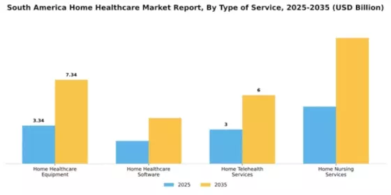 South America Home Healthcare Market Segment Image 3