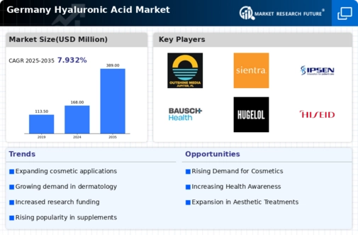 Germany Hyaluronic Acid Market Infographic