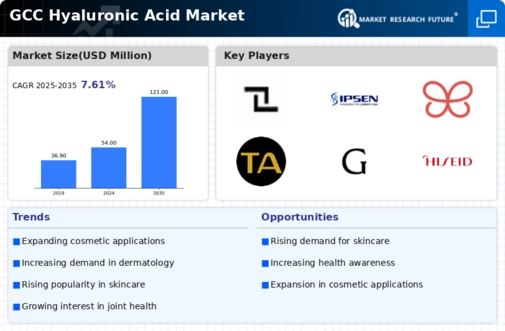 GCC Hyaluronic Acid Market  Infographic