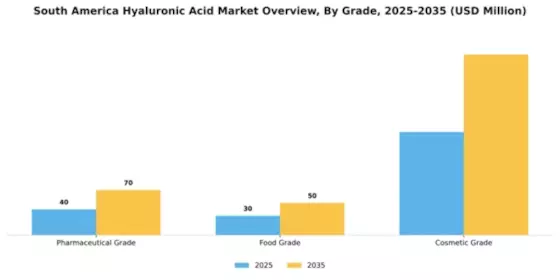 South America Hyaluronic Acid Market Segment Image 2
