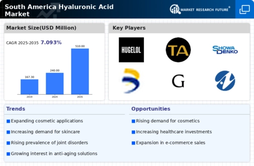 South America Hyaluronic Acid Market Infographic